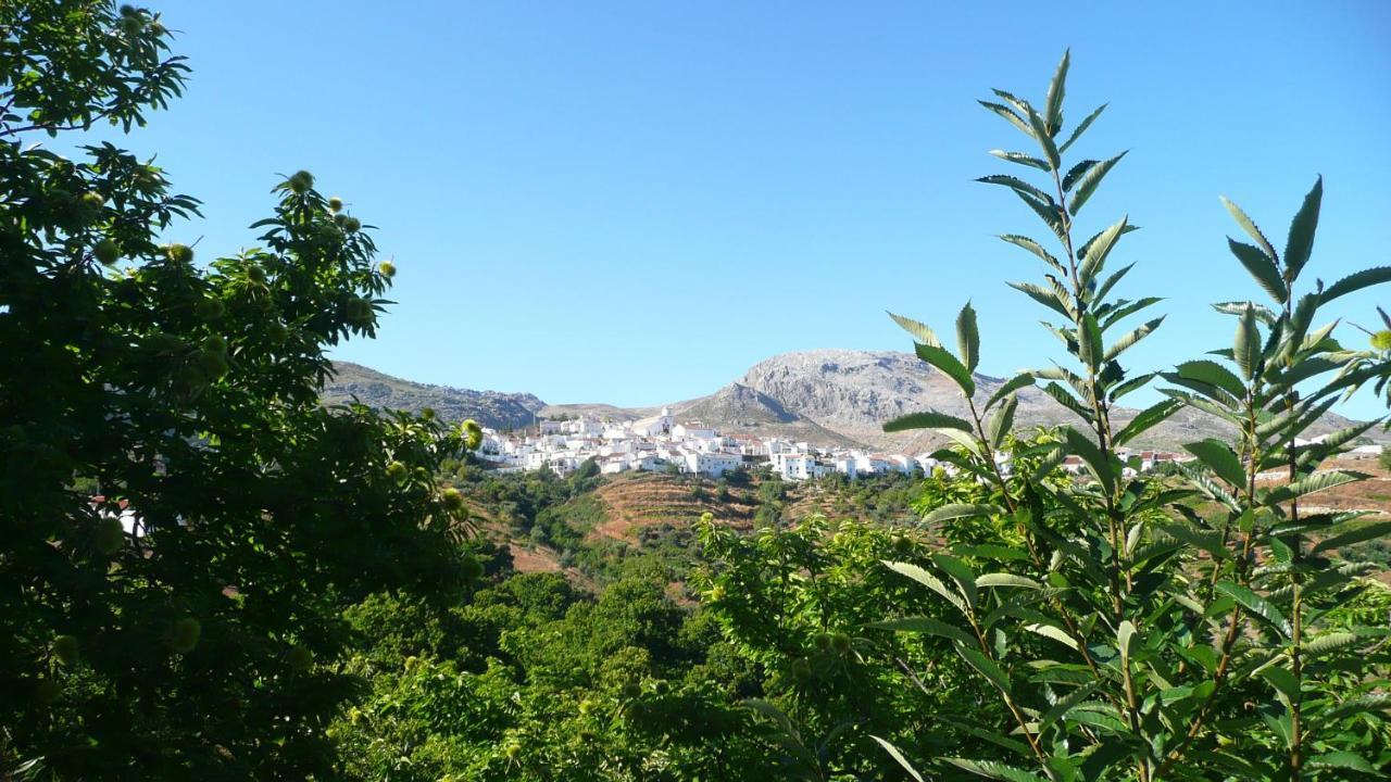 โรงแรมโลส กันตาโนส Cartajima ภายนอก รูปภาพ